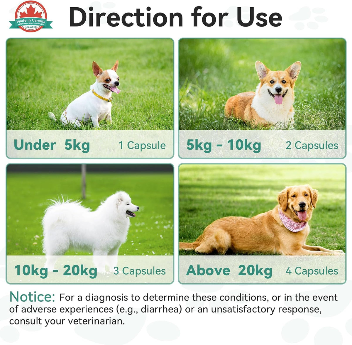 Health and Longevity Chews