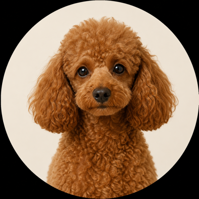 POODLE