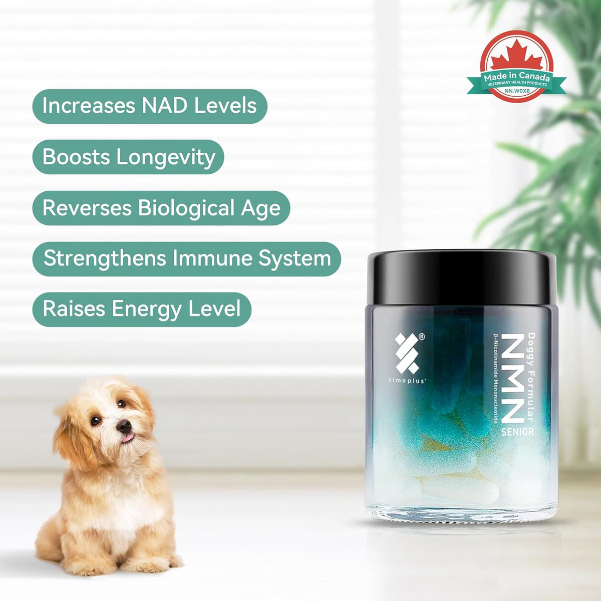 Health and Longevity Chews