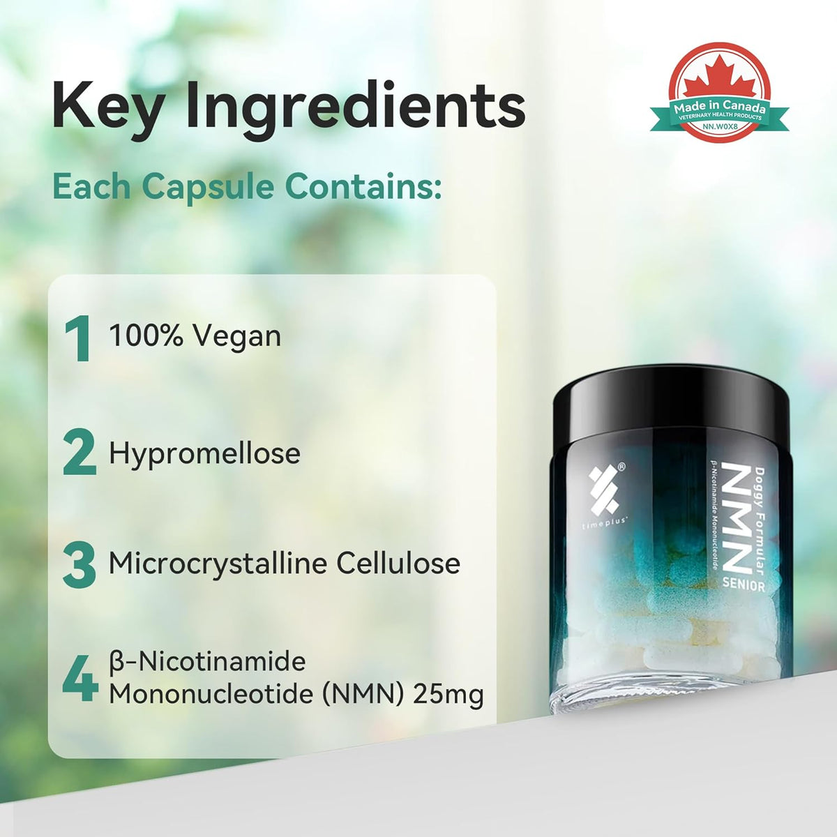 Health and Longevity Chews