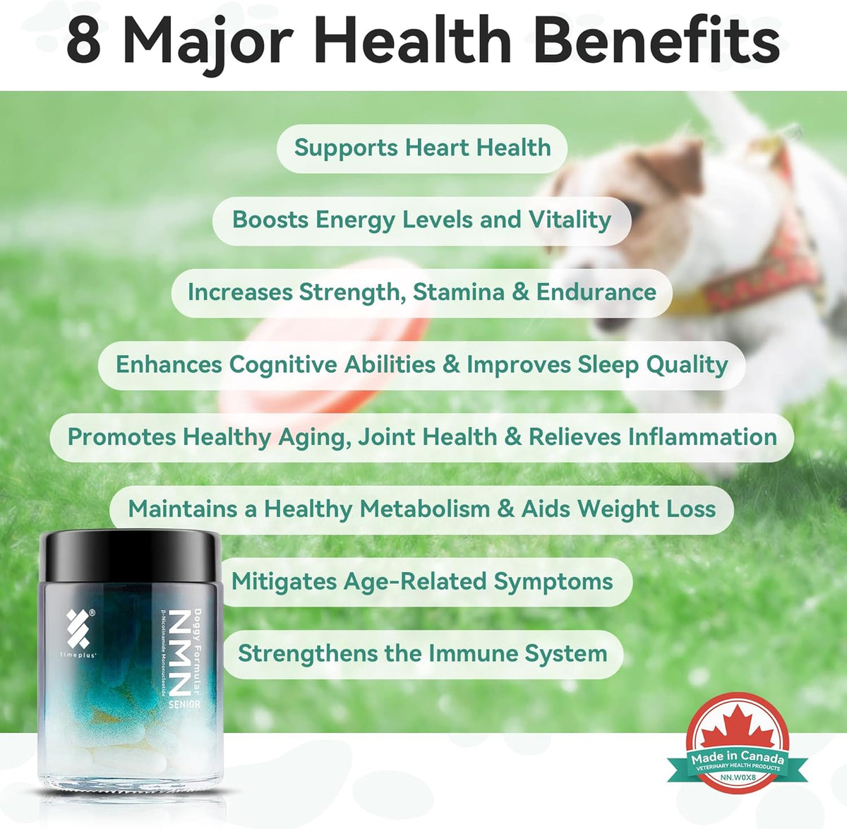 Health and Longevity Chews