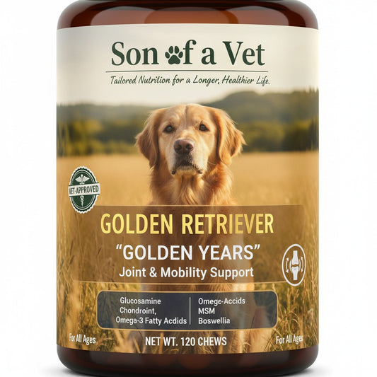 Golden Retriever