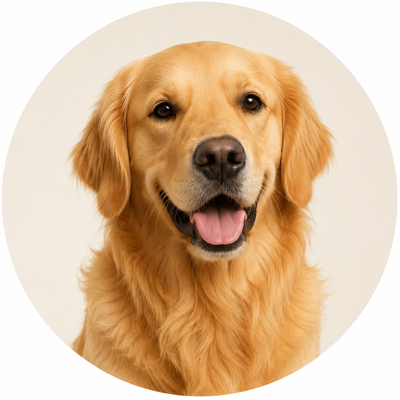 GOLDEN
RETRIEVER